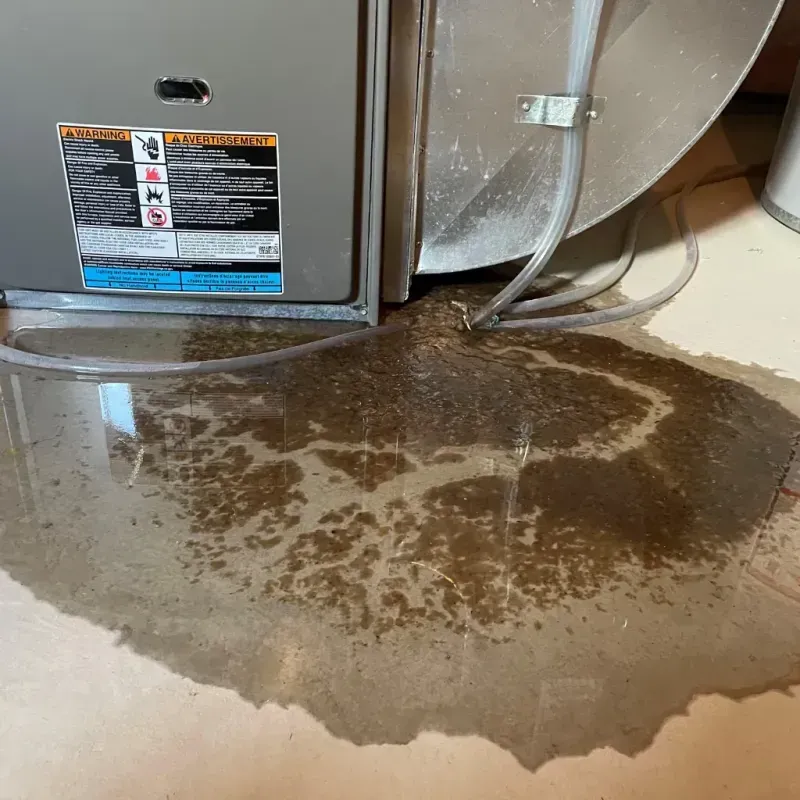 Appliance Leak Cleanup in Crystal Lake, IL